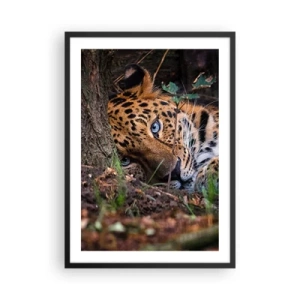 Pôster com moldura preta - Um leopardo reclinado com olhos azuis intensos - 50x70cm - Confie em mim - Decoração de parede moderna para a sala de estar e quarto ARTTOR