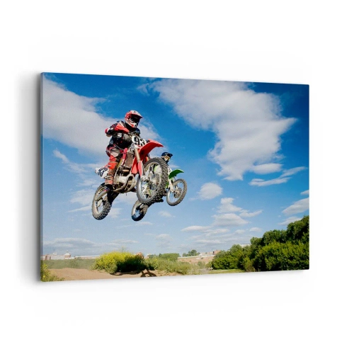 Quadro em tela - Salto celeste - 100x70 cm