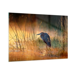 Quadro em vidro - Já chega de fotos - 100x70 cm