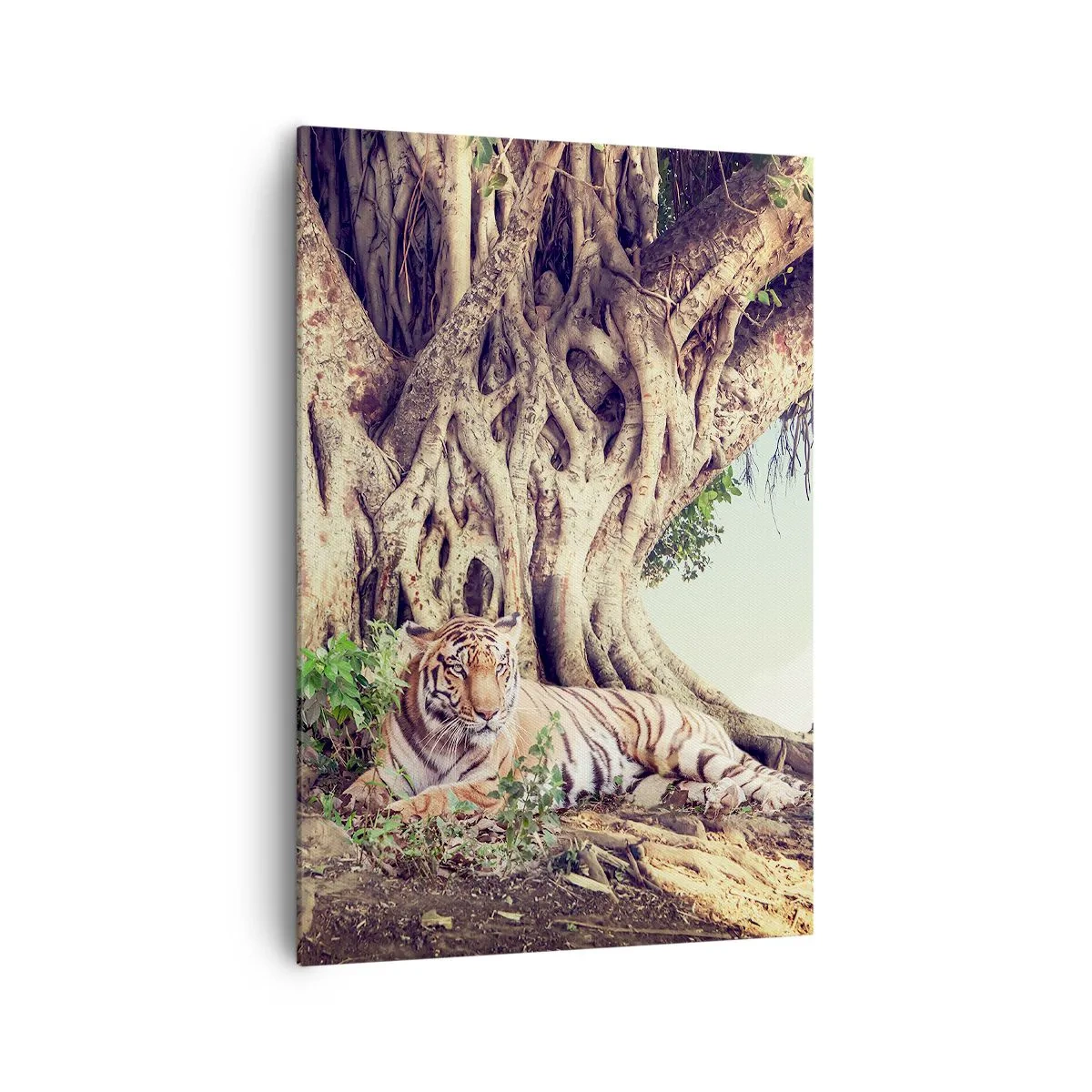 Quadro em tela - Vista do livro de Gênesis - 70x100 cm