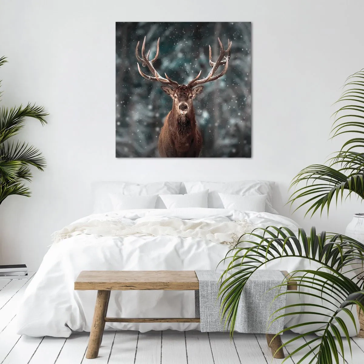 Quadro em tela - O rei coroado da floresta  - 30x30 cm