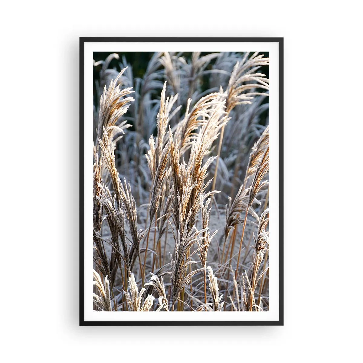 Pôster com moldura preta - Decorado com a geada - 70x100 cm