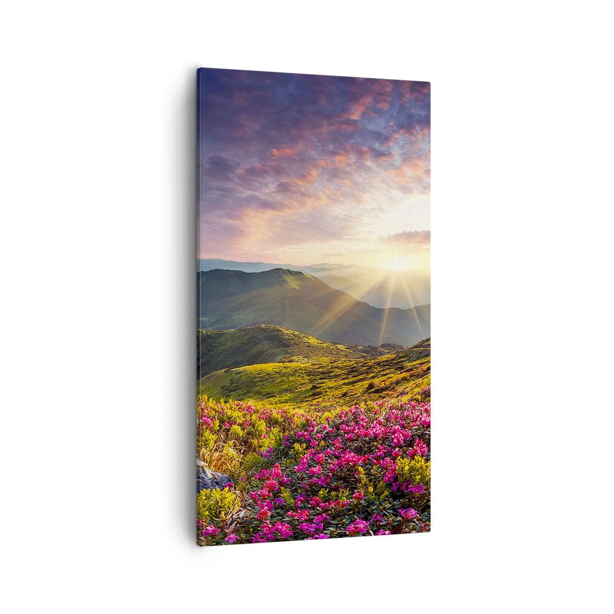 Quadro em tela - A frescura de uma manhã nas montanhas - 55x100 cm