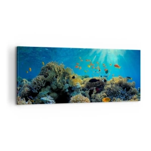 Quadro em tela - Tesouros subaquáticos - 100x40 cm