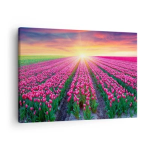 Quadro em tela - Um campo de tulipas ao pôr do sol - 70x50cm - Quinta da Beleza - Decoração de parede moderna para a sala de estar e quarto ARTTOR