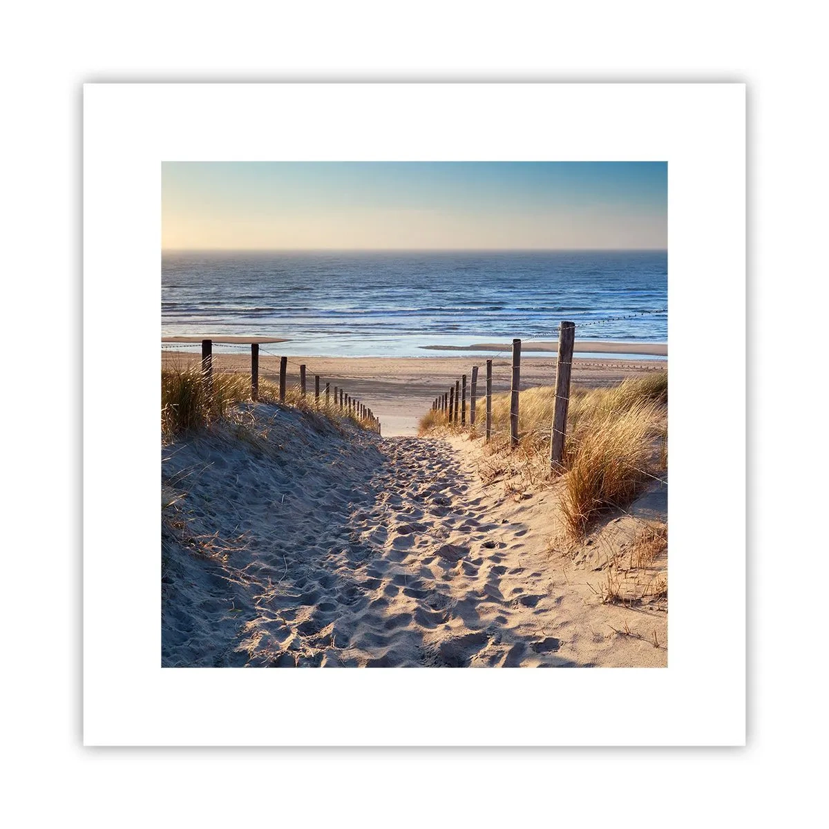 Pôster - O som do mar, o canto dos pássaros, a praia selvagem entre a relva... - 30x30 cm