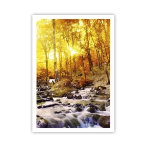 Pôster - Pedras emolduradas em ouro e platina - 70x100 cm