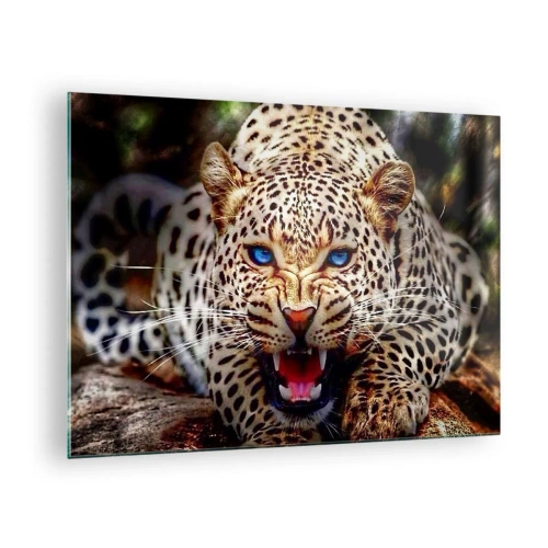 Quadro em vidro - Um feroz leopardo de olhos azuis na natureza - 70x50cm - A raiva não afeta a beleza  - Decoração de parede moderna para a sala de estar e quarto ARTTOR