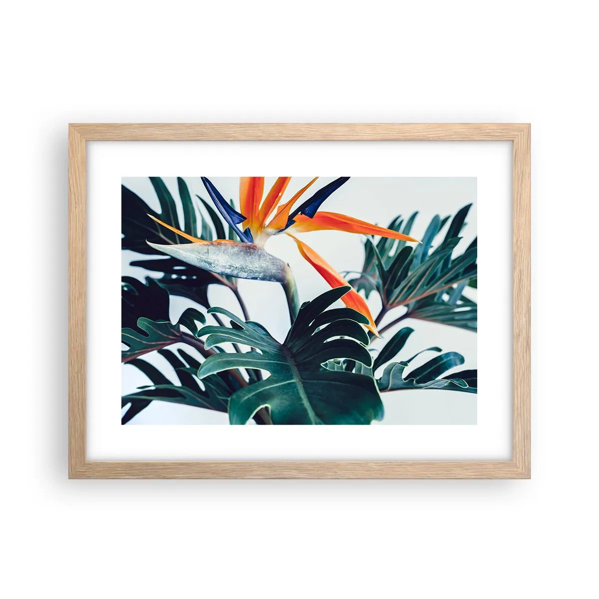 Pôster com moldura de carvalho claro - Arbusto de passarinho - 40x30 cm