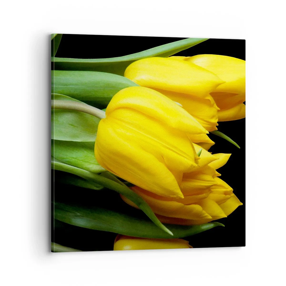 Quadro em tela - Feitas a partir do sol - 70x70 cm