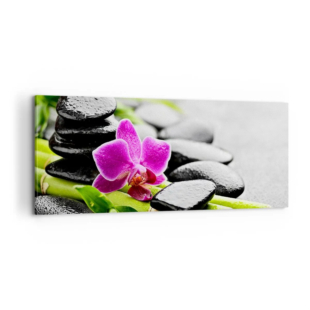 Quadro em tela - Calmo equilíbrio - 100x40 cm