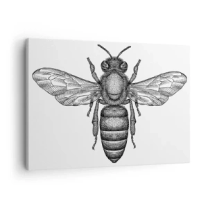 Quadro em tela - Um motivo de abelha de desenho animado em um fundo branco em um estilo minimalista. - 70x50cm - Retrato de um inseto - Decoração de parede moderna para a sala de estar e quarto ARTTOR