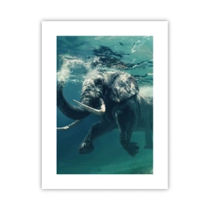 Pôster - Todo mundo gosta de nadar - 30x40 cm