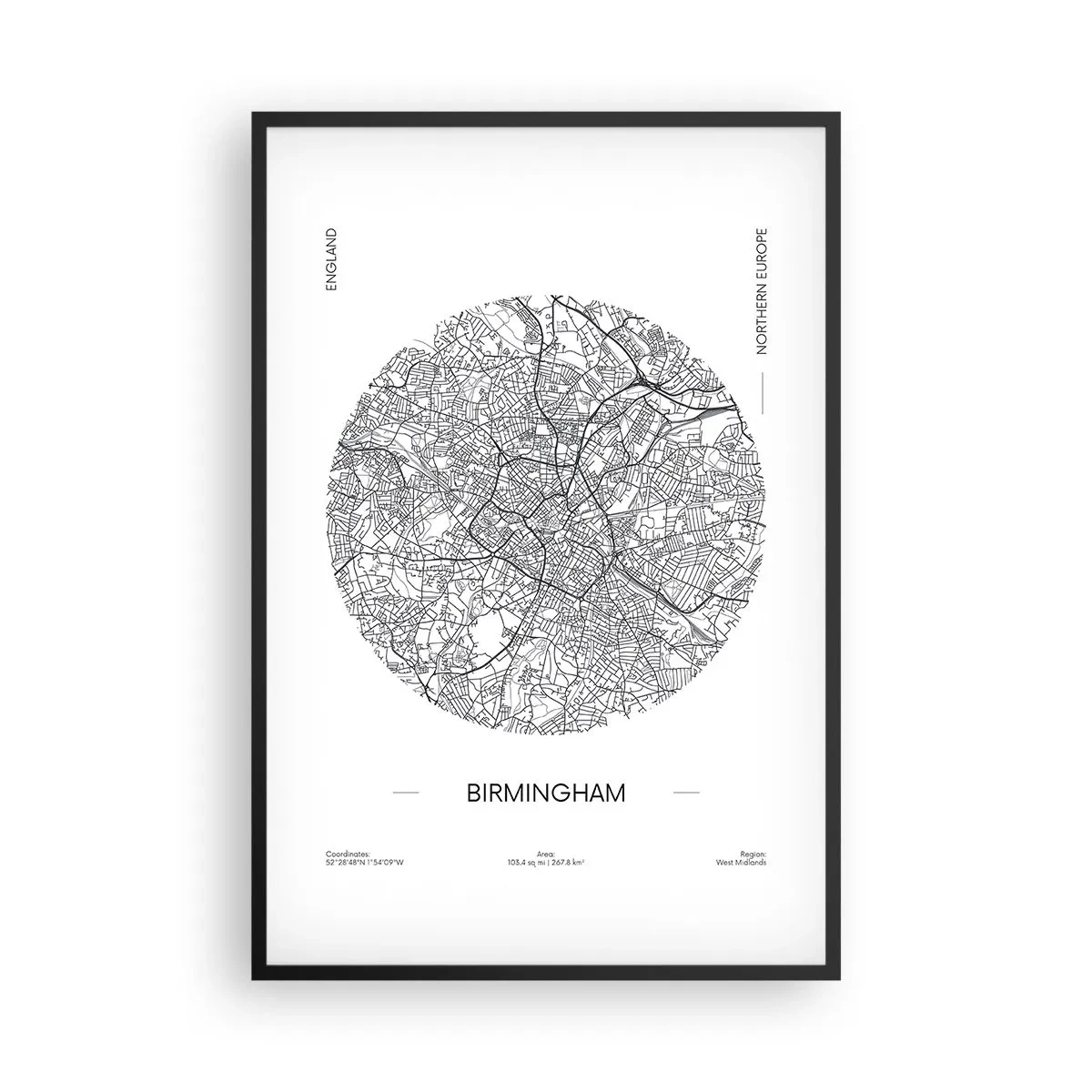 Pôster com moldura preta - Anatomia de Birmingham - 61x91 cm