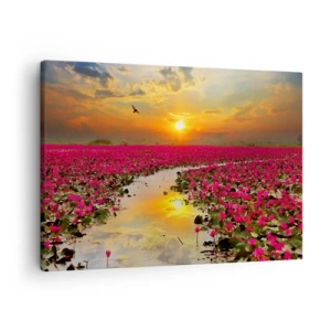 Quadro em tela - Um campo de nenúfares cor-de-rosa ao pôr do sol - 70x50cm - A vida secreta do lago - Decoração de parede moderna para a sala de estar e quarto ARTTOR