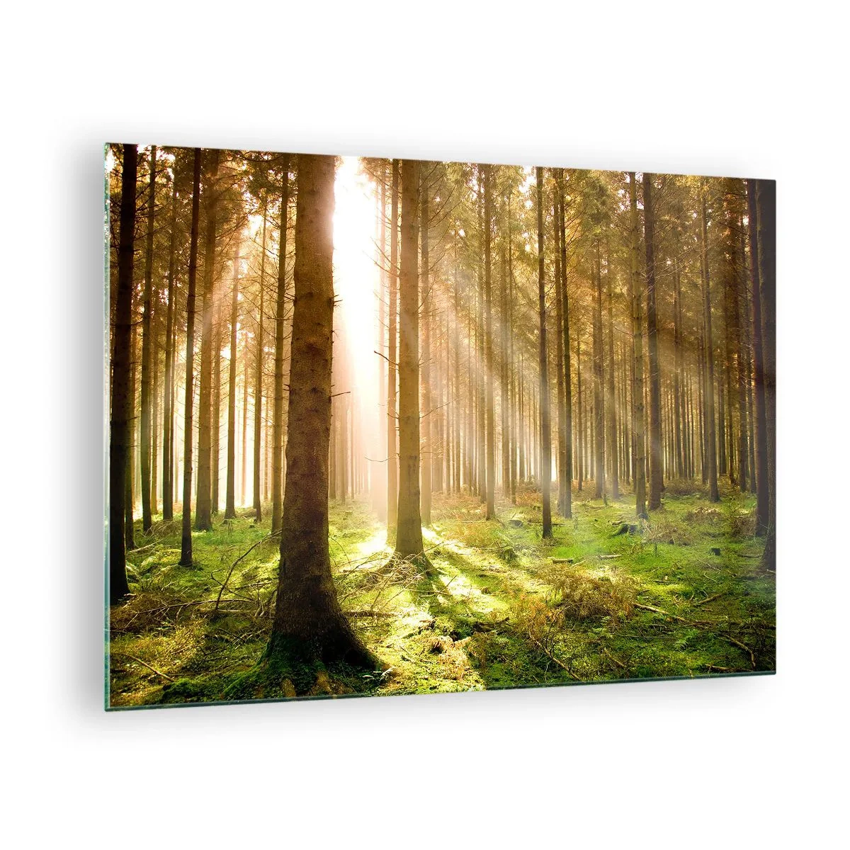 Quadro em vidro - Raios de sol penetrando através das árvores da floresta - 70x50cm - Os elfos estão prestes a aparecer - Decoração de parede moderna para a sala de estar e quarto ARTTOR