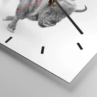 Mostrador com traços