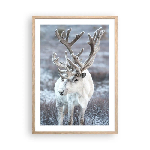 Pôster com moldura de carvalho claro - Retrato ao sol - 50x70 cm