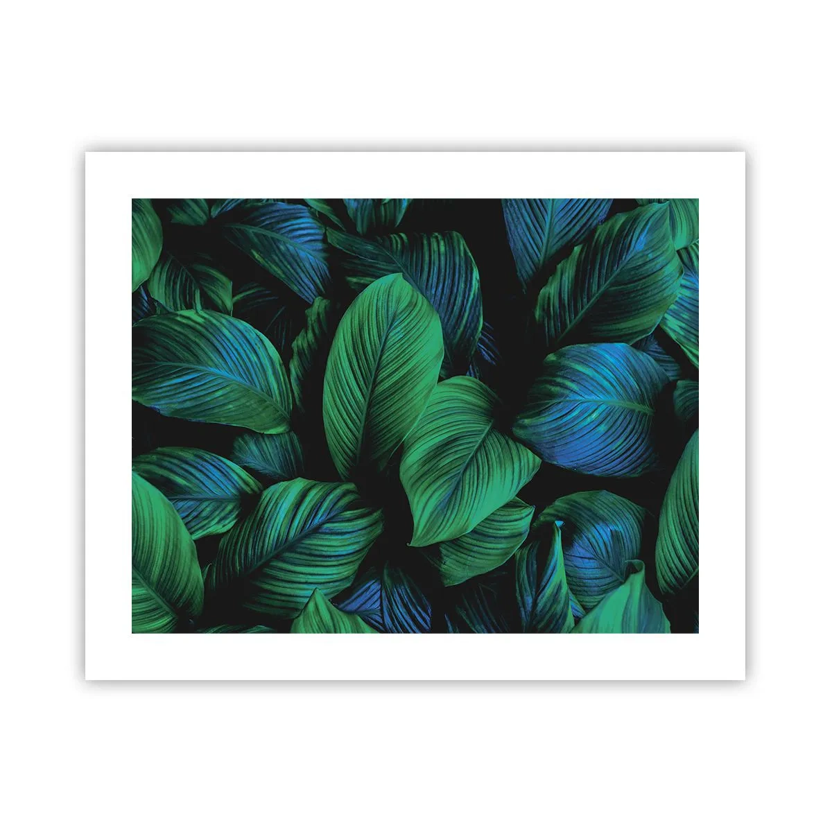 Pôster - Na multidão verde - 50x40 cm