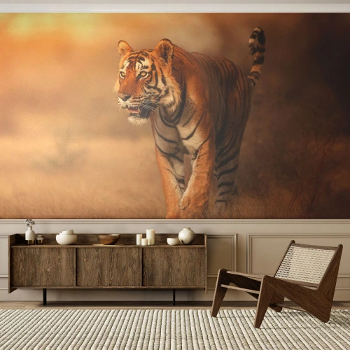 Papel de Parede Autocolante Deluxe Sticker - Antes do ataque - Animais, Tigre, África - 250x175 cm