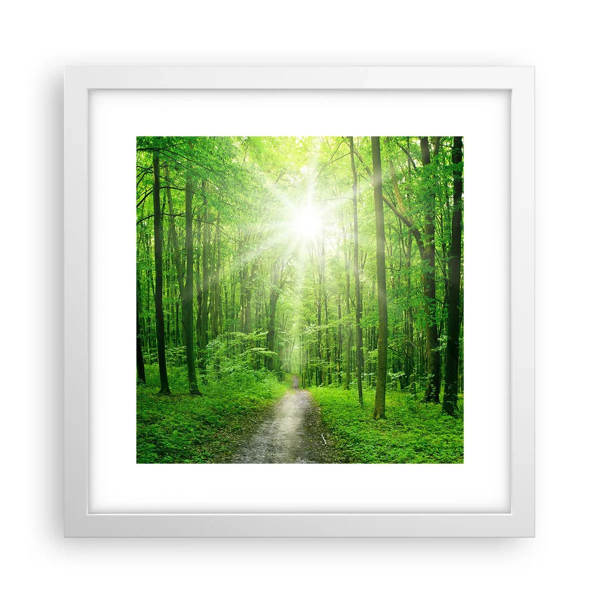 Pôster em moldura branca - Catedral Verde - 30x30 cm