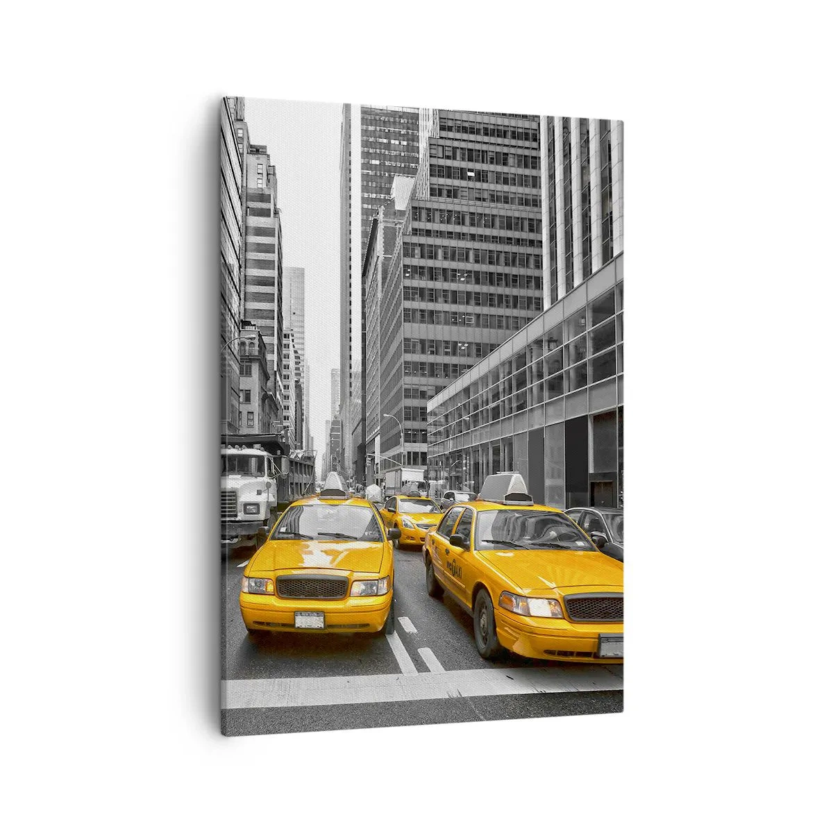 Quadro em tela - Somos a cor da cidade - 50x70 cm