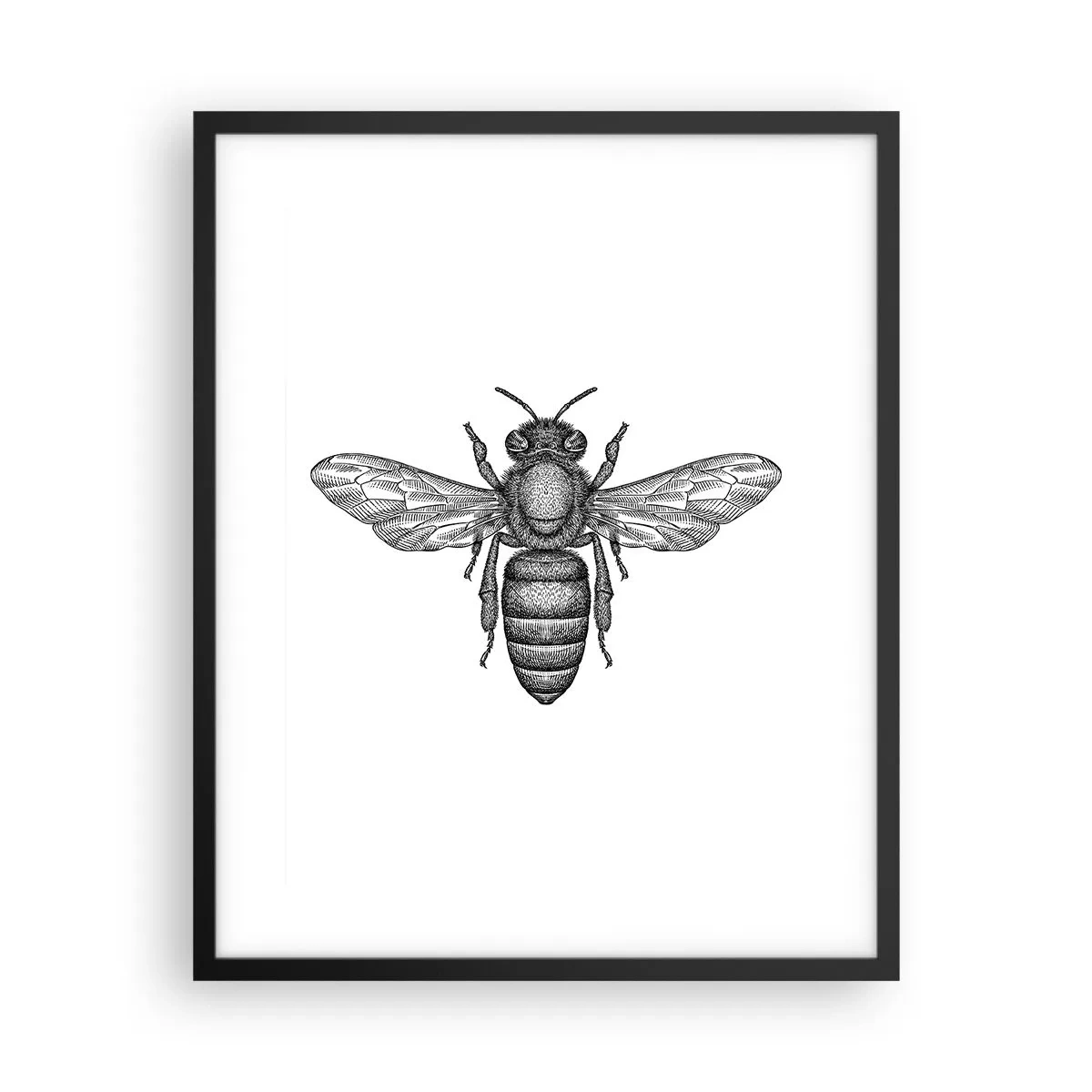 Pôster com moldura preta - Retrato de um inseto - 40x50 cm