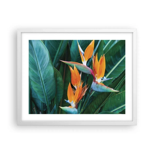 Pôster em moldura branca - É uma flor ou é um pássaro? - 50x40 cm