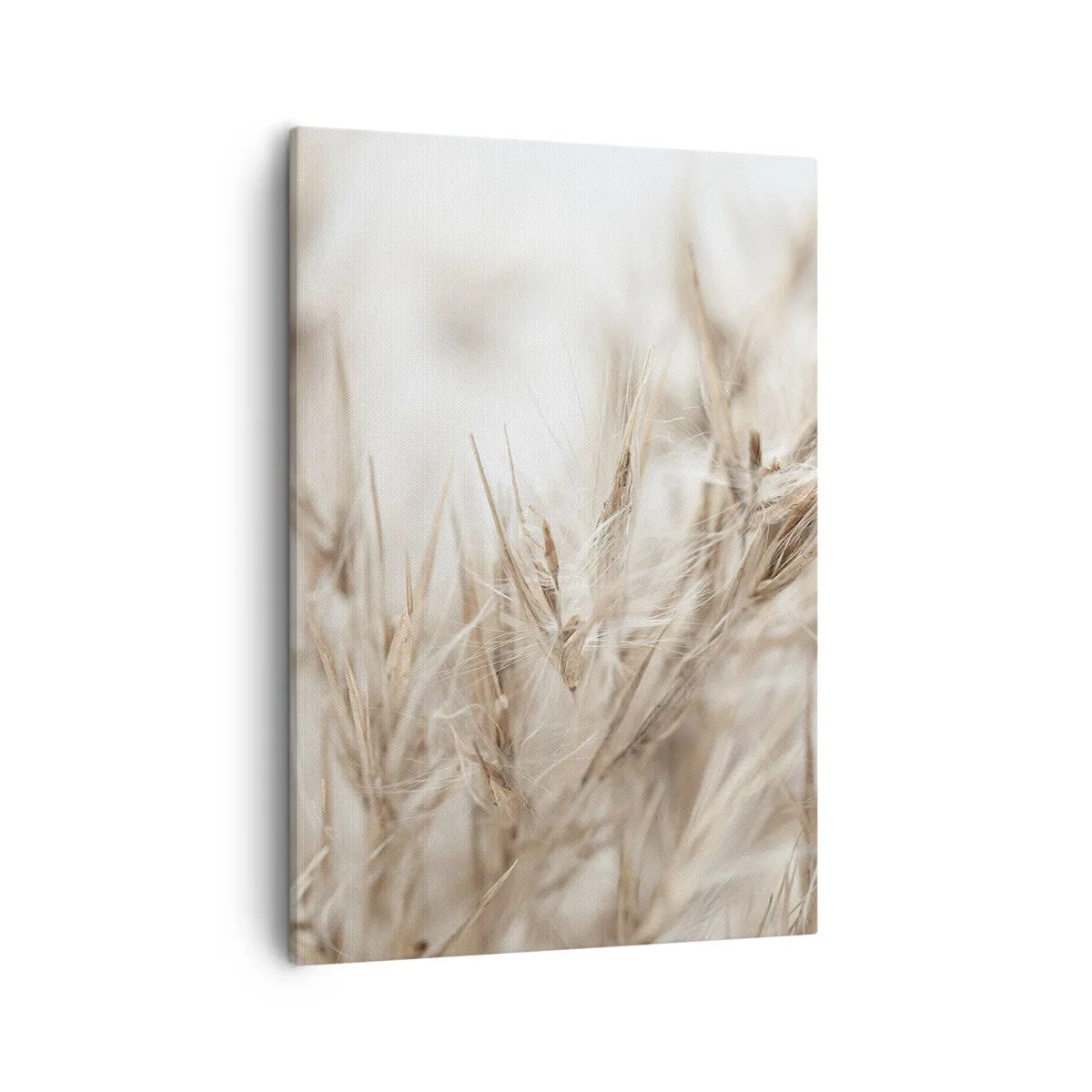 Quadro em tela - Prado e vento - 50x70 cm
