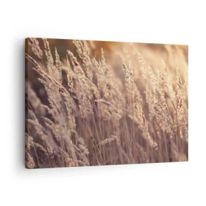 Quadro em tela - Gramíneas douradas contra o pano de fundo do pôr do sol - 70x50cm - Pronto para receber o outono - Decoração de parede moderna para a sala de estar e quarto ARTTOR