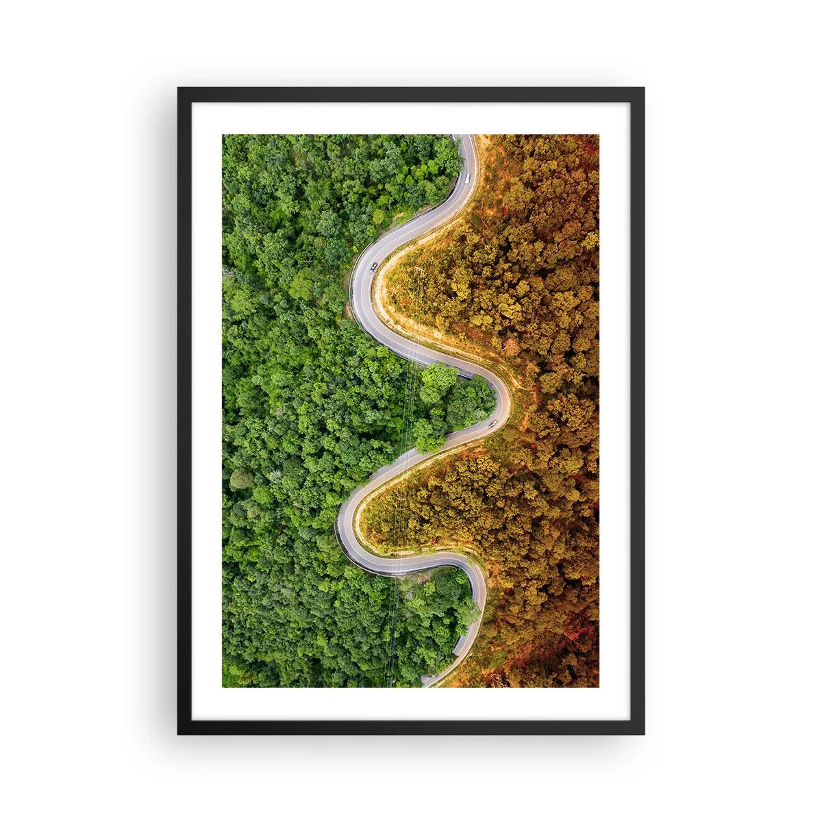 Pôster com moldura preta - Uma estrada serpenteando por uma floresta dividida em partes verdes e outonais - 50x70cm - Fronteiras e descobertas - Decoração de parede moderna para a sala de estar e quarto ARTTOR