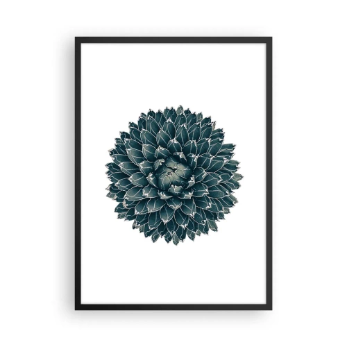 Pôster com moldura preta - Detalhe de uma suculenta com arranjo simétrico de folhas - 50x70cm - Estrela do Deserto - Decoração de parede moderna para a sala de estar e quarto ARTTOR