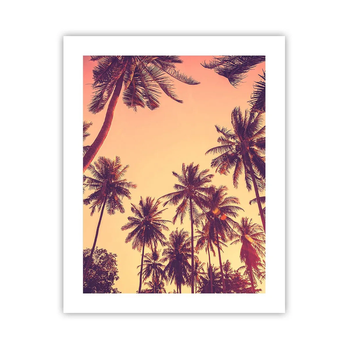 Pôster - Variação tropical - 40x50 cm