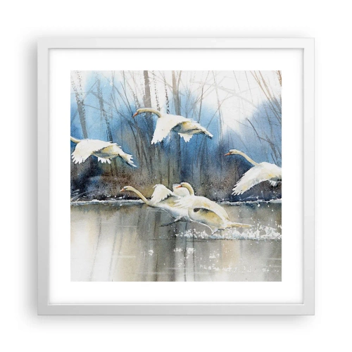 Pôster em moldura branca - Como no conto de fadas sobre cisnes selvagens - 40x40 cm