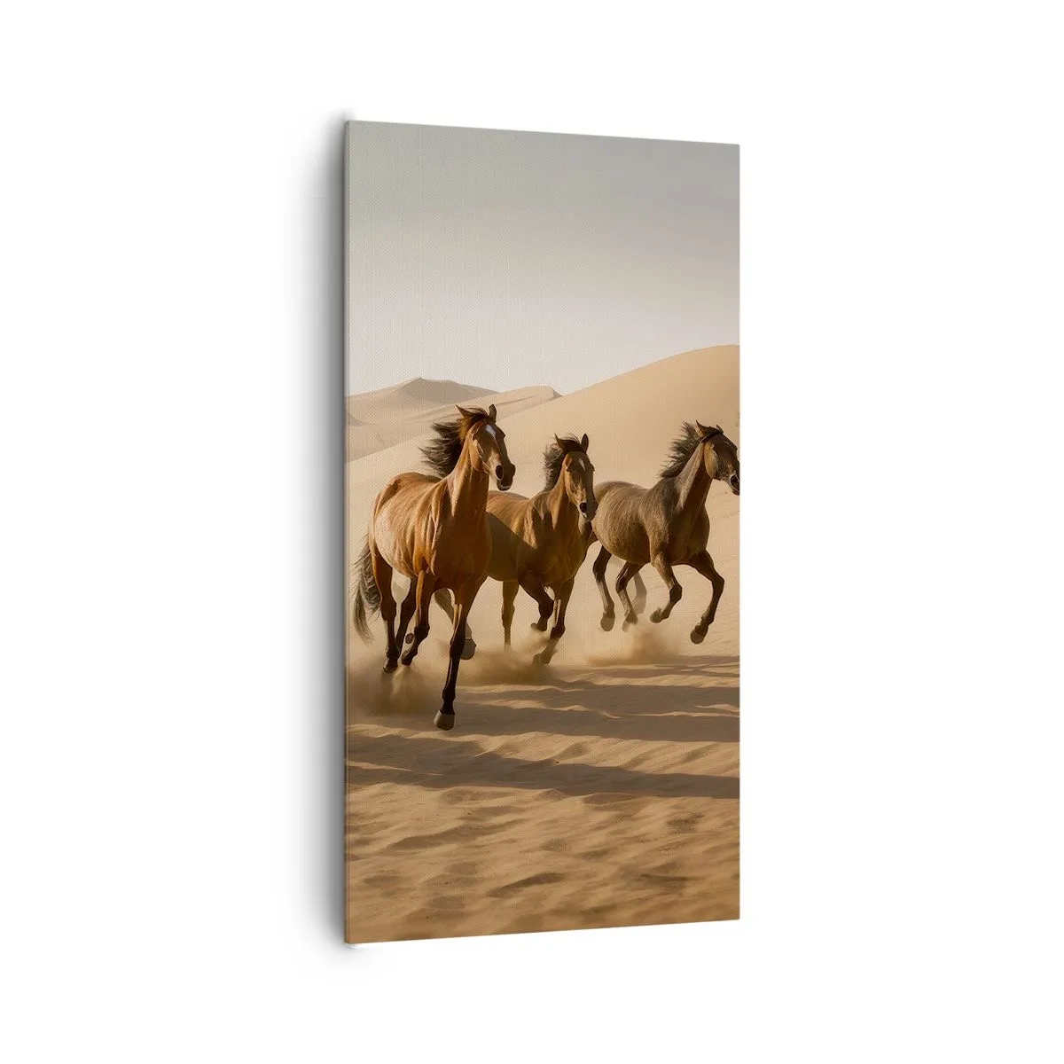 Quadro em tela - Livre como o vento - 65x120 cm