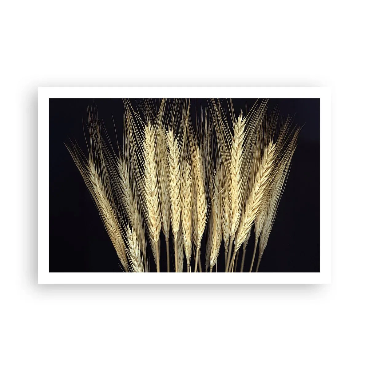 Pôster - Magia rústica - 91x61 cm