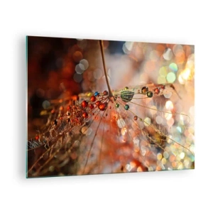 Quadro em vidro - Gotas de água em uma delicada teia de aranha em luz bokeh - 70x50cm - Enroscado numa teia de aranha - Decoração de parede moderna para a sala de estar e quarto ARTTOR