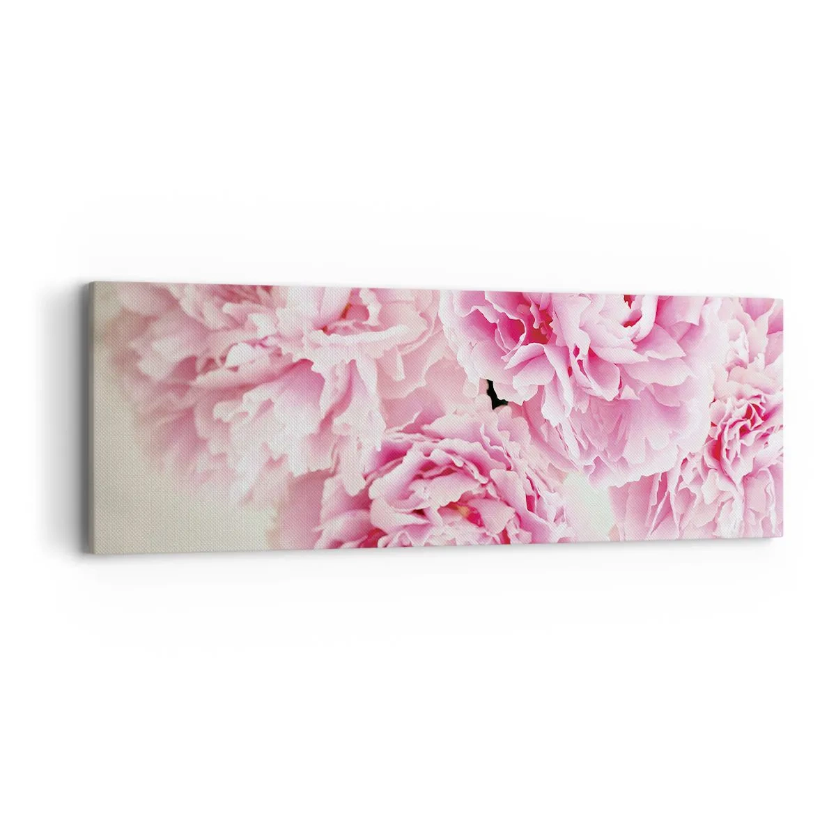 Quadro em tela - Em esplendor rosa - 90x30 cm