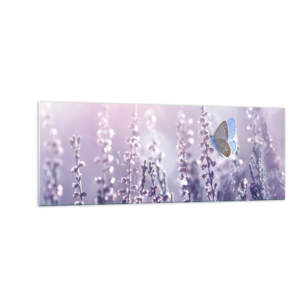 Quadro em vidro - O beijo da borboleta - 140x50 cm