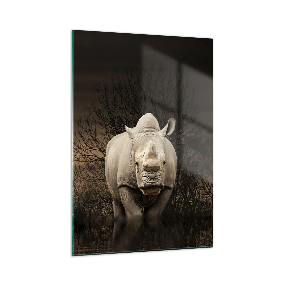 Quadro em vidro - Branco contra a natureza - 50x70 cm