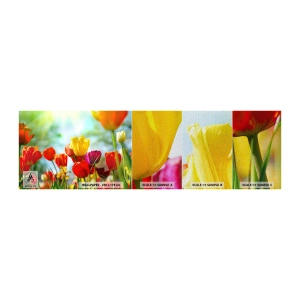 Amostra de papel de parede Premium Sand - Todas as cores do sol - Tulipas, Flores, Prado - 100x30 cm