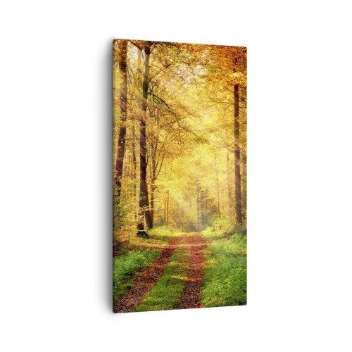 Quadro em tela - Silêncio dourado da floresta - 55x100 cm