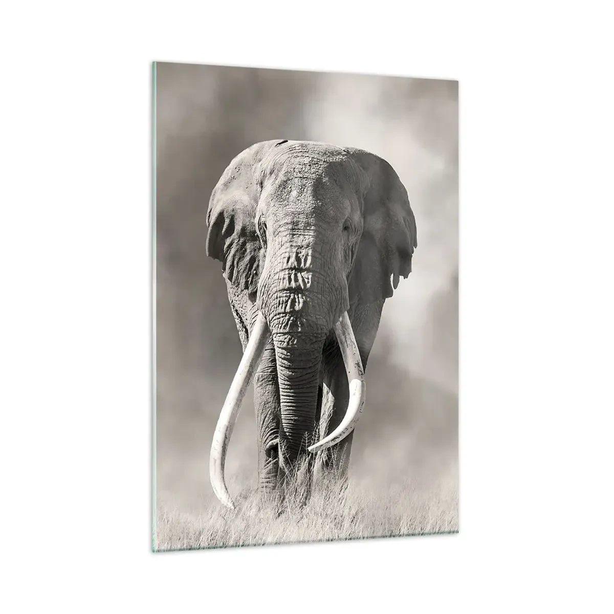 Quadro em vidro - Patriarca africano - 50x70 cm