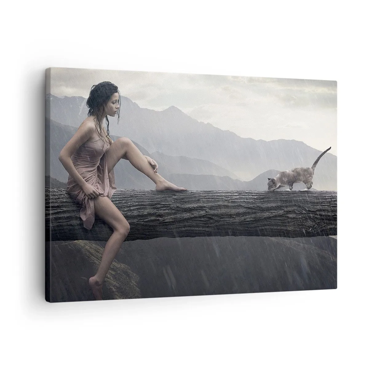Quadro em tela - Uma mulher e um gato no tronco de uma árvore na chuva com vista para as montanhas. - 70x50cm - Picos de beleza - Decoração de parede moderna para a sala de estar e quarto ARTTOR
