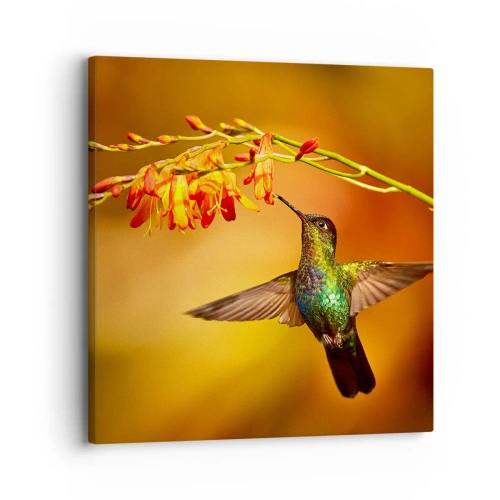 Quadro em tela - Mensageiro Maia da Luz - 30x30 cm