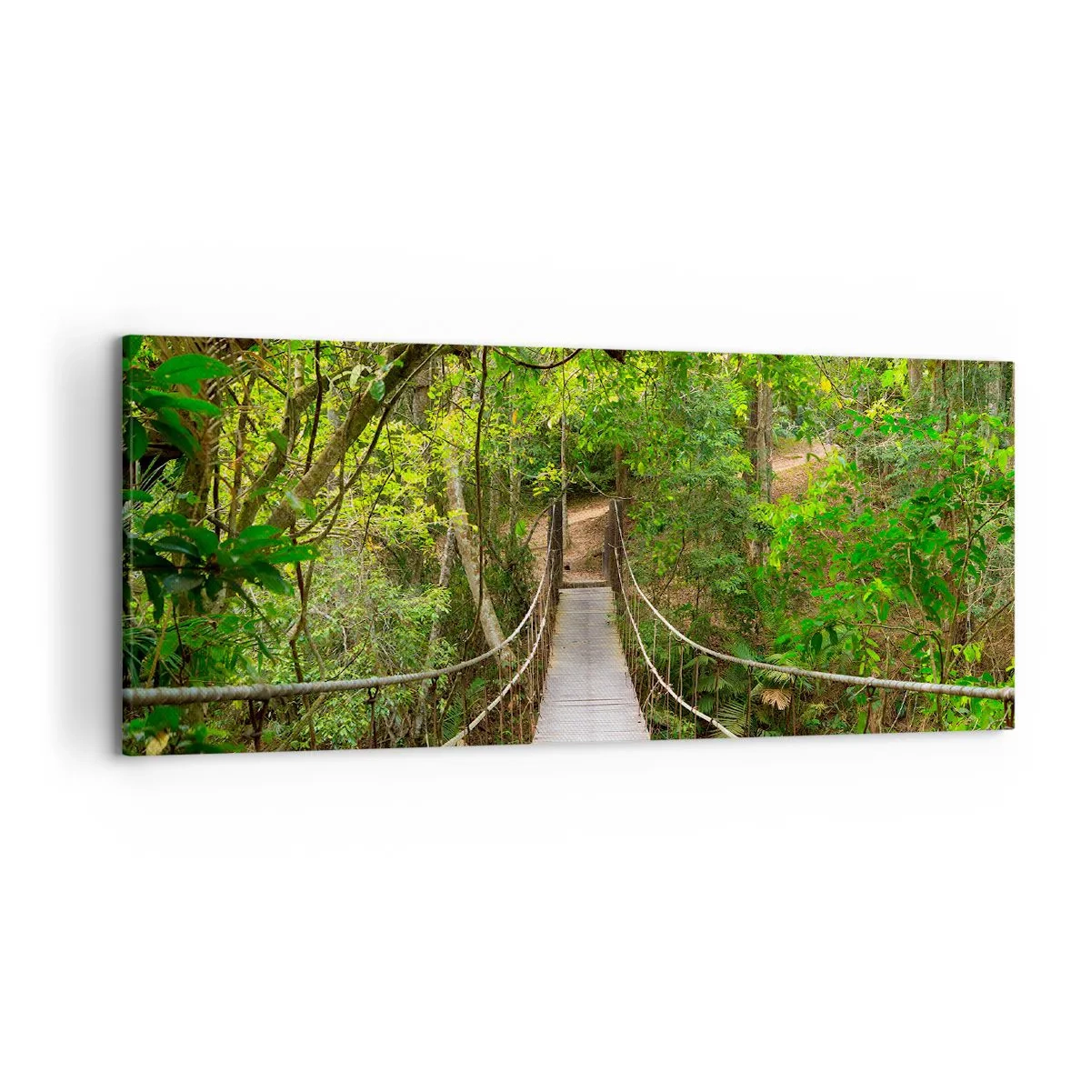 Quadro em tela - Porque há uma videira a crescer no jardim - 120x50 cm