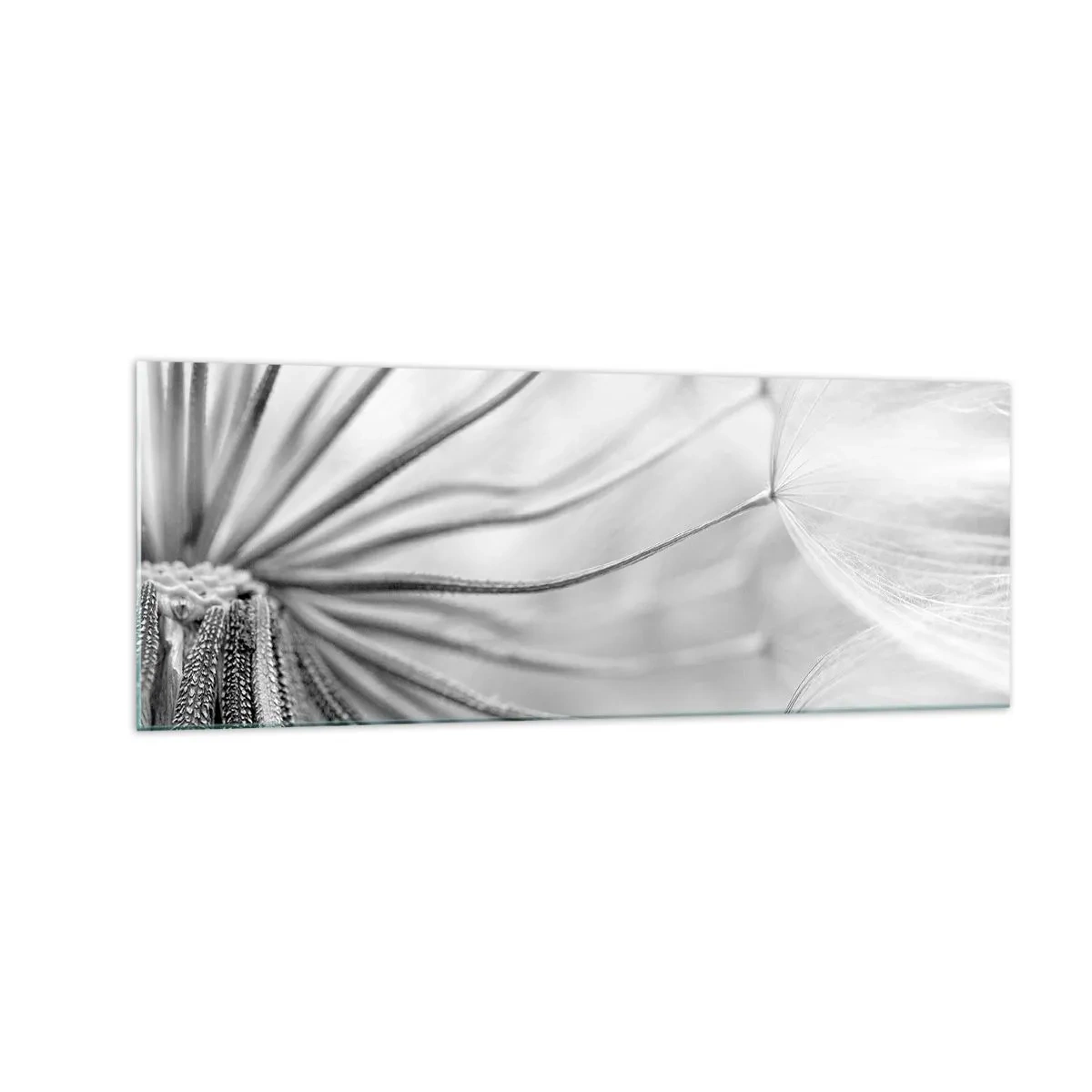 Quadro em vidro - Dentes de leão, pipas - 140x50 cm
