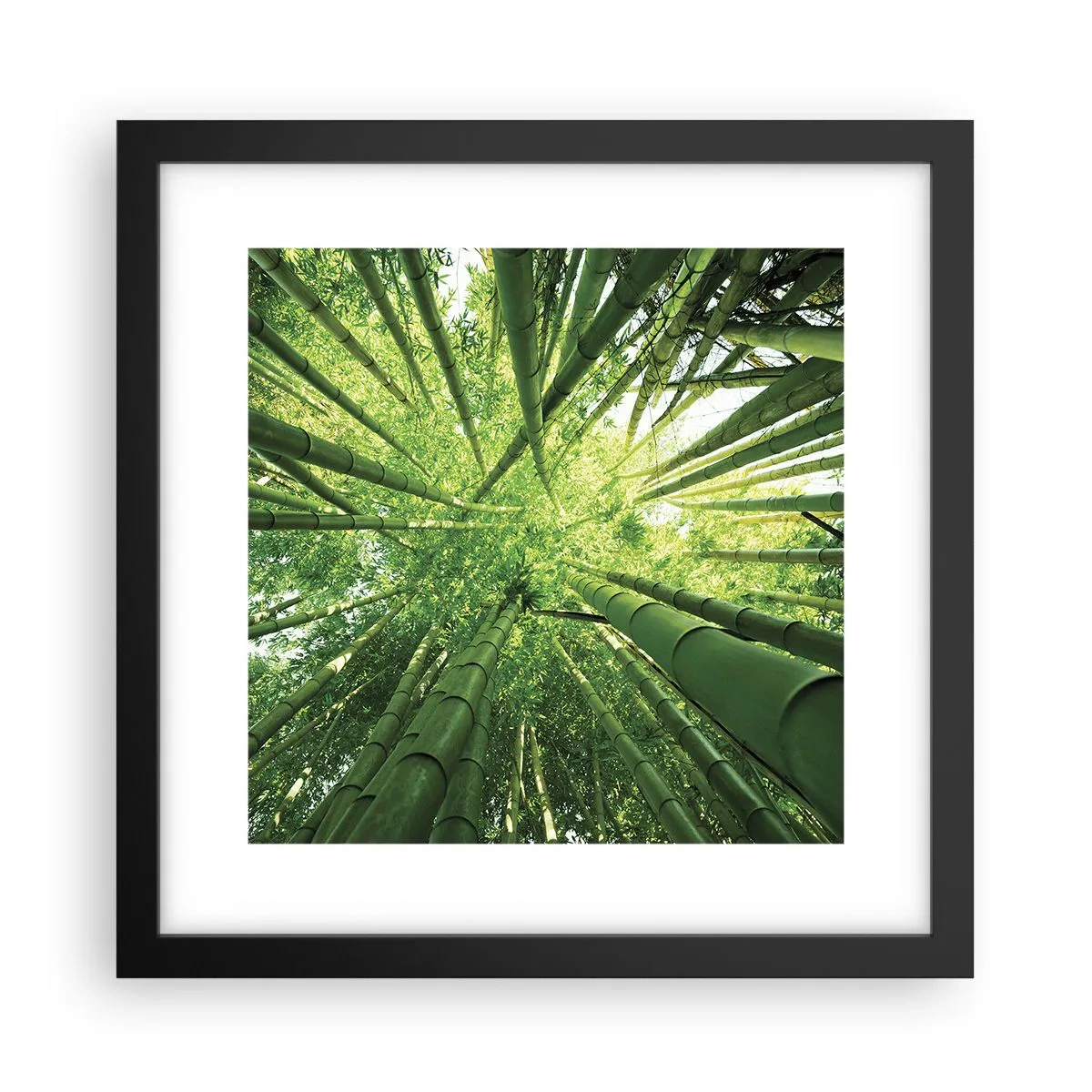 Pôster com moldura preta - Em um bosque de bambu - 30x30 cm