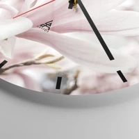 Mostrador com traços