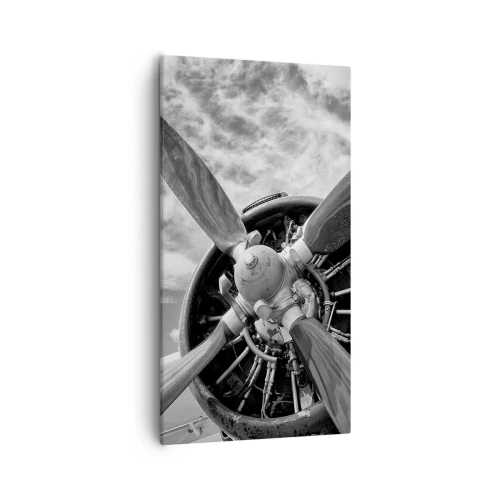 Quadro em tela - O conquistador dos céus - 55x100 cm